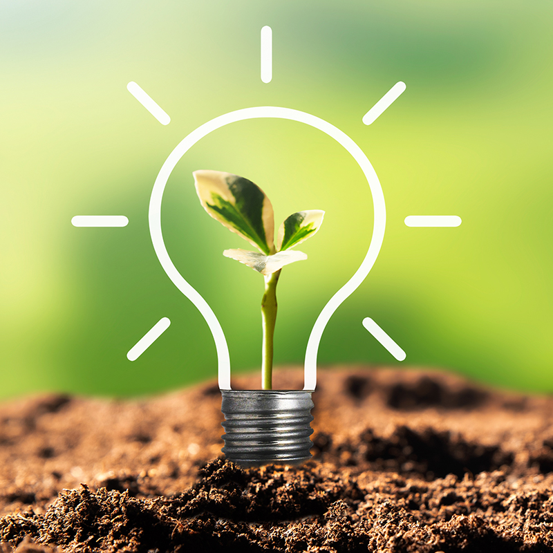Ecological friendly and sustainable environment