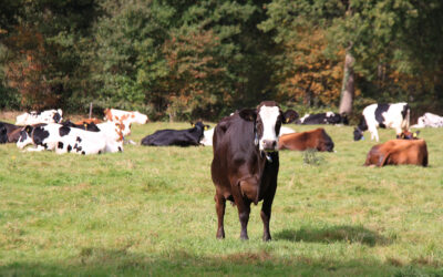 Over de landbouw
